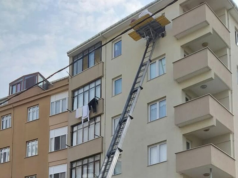 Taşıma Şirketi